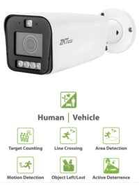 disuasión activa (1)